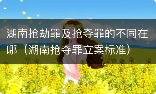 湖南抢劫罪及抢夺罪的不同在哪（湖南抢夺罪立案标准）