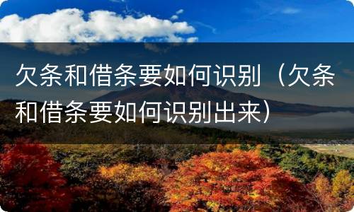 欠条和借条要如何识别（欠条和借条要如何识别出来）