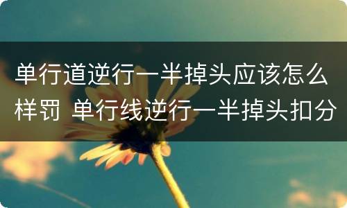 单行道逆行一半掉头应该怎么样罚 单行线逆行一半掉头扣分吗?