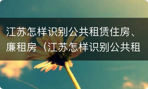 江苏怎样识别公共租赁住房、廉租房（江苏怎样识别公共租赁住房,廉租房呢）
