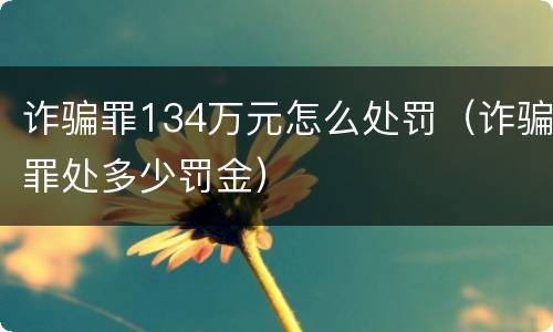 诈骗罪134万元怎么处罚（诈骗罪处多少罚金）
