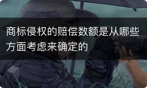 商标侵权的赔偿数额是从哪些方面考虑来确定的