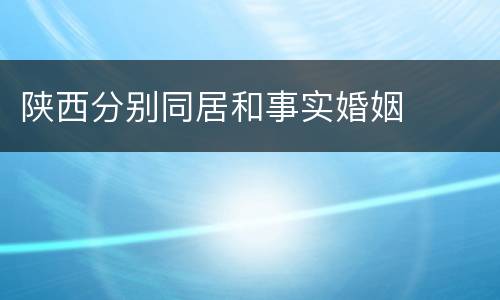 陕西分别同居和事实婚姻