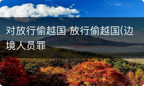 对放行偷越国 放行偷越国(边境人员罪