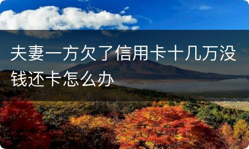 夫妻一方欠了信用卡十几万没钱还卡怎么办
