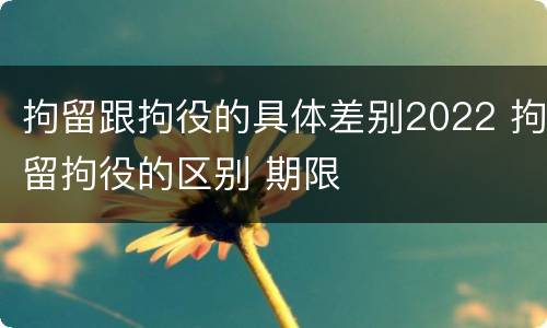拘留跟拘役的具体差别2022 拘留拘役的区别 期限