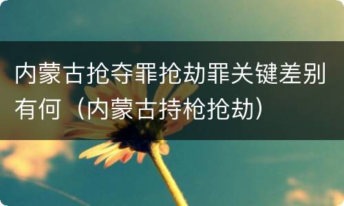 内蒙古抢夺罪抢劫罪关键差别有何（内蒙古持枪抢劫）