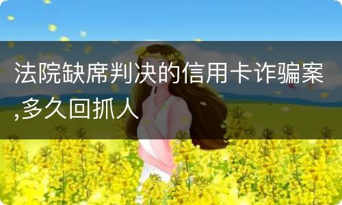 法院缺席判决的信用卡诈骗案,多久回抓人
