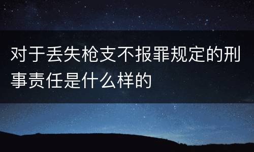 对于丢失枪支不报罪规定的刑事责任是什么样的