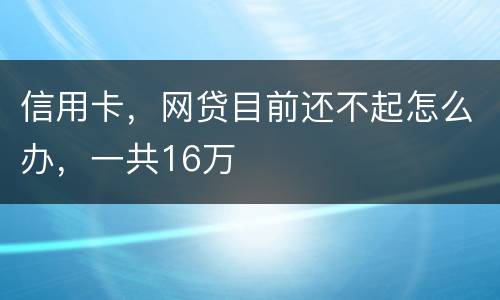 信用卡，网贷目前还不起怎么办，一共16万