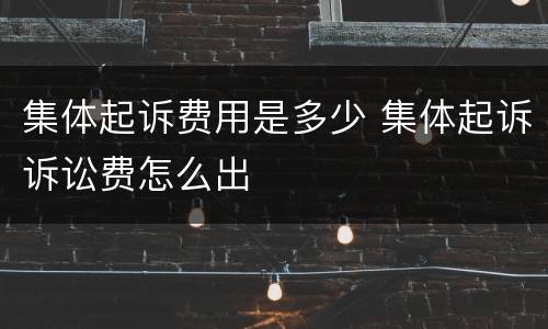 集体起诉费用是多少 集体起诉诉讼费怎么出