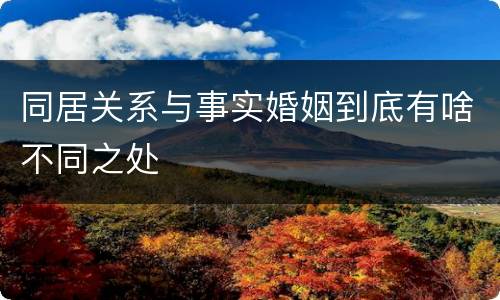 同居关系与事实婚姻到底有啥不同之处