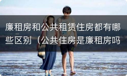 廉租房和公共租赁住房都有哪些区别（公共住房是廉租房吗）