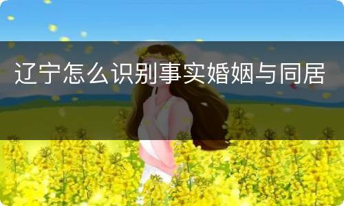 辽宁怎么识别事实婚姻与同居