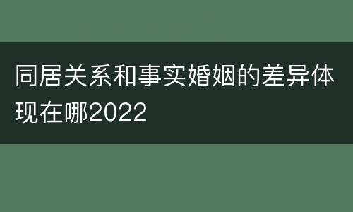 同居关系和事实婚姻的差异体现在哪2022