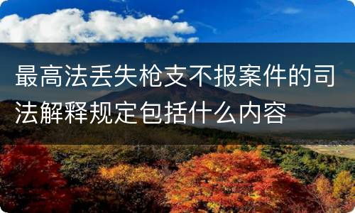 最高法丢失枪支不报案件的司法解释规定包括什么内容