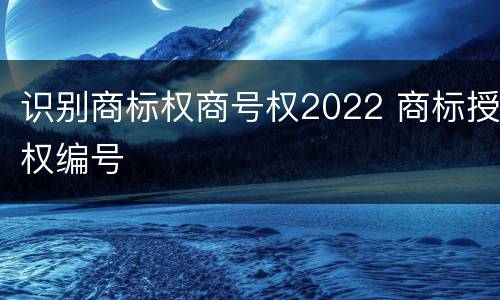 识别商标权商号权2022 商标授权编号
