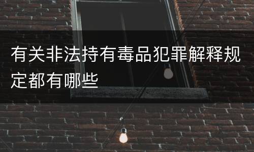 有关非法持有毒品犯罪解释规定都有哪些