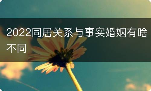 2022同居关系与事实婚姻有啥不同