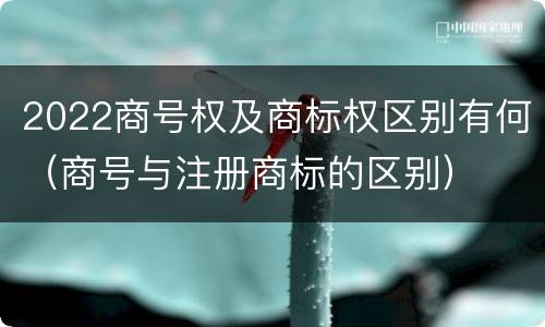 2022商号权及商标权区别有何（商号与注册商标的区别）