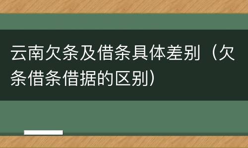 云南欠条及借条具体差别（欠条借条借据的区别）