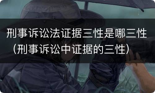 刑事诉讼法证据三性是哪三性（刑事诉讼中证据的三性）