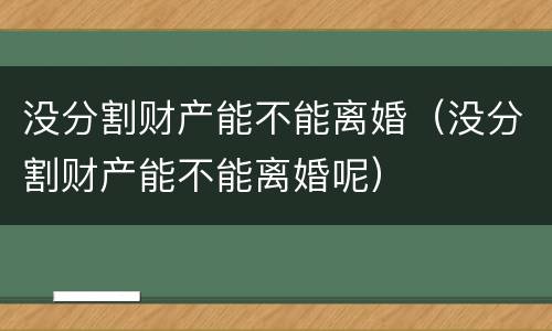 没分割财产能不能离婚（没分割财产能不能离婚呢）