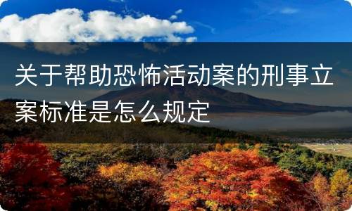 关于帮助恐怖活动案的刑事立案标准是怎么规定
