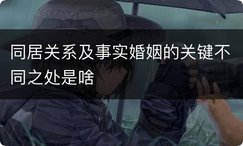 同居关系及事实婚姻的关键不同之处是啥