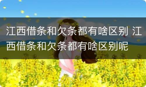 江西借条和欠条都有啥区别 江西借条和欠条都有啥区别呢
