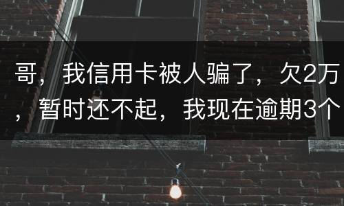 哥，我信用卡被人骗了，欠2万，暂时还不起，我现在逾期3个月了？我会不会坐牢。