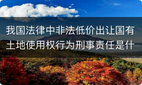 我国法律中非法低价出让国有土地使用权行为刑事责任是什么