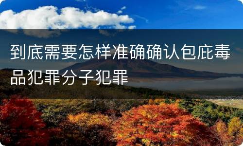 到底需要怎样准确确认包庇毒品犯罪分子犯罪