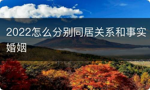 2022怎么分别同居关系和事实婚姻