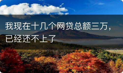 我现在十几个网贷总额三万，已经还不上了