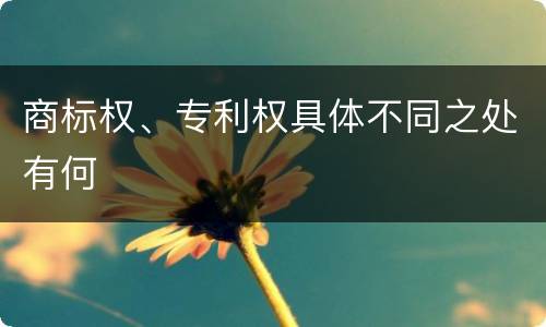 商标权、专利权具体不同之处有何