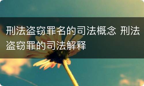 刑法盗窃罪名的司法概念 刑法盗窃罪的司法解释