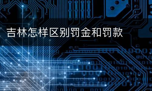 吉林怎样区别罚金和罚款