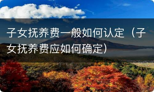 子女抚养费一般如何认定（子女抚养费应如何确定）