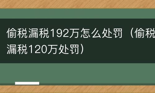 偷税漏税192万怎么处罚（偷税漏税120万处罚）