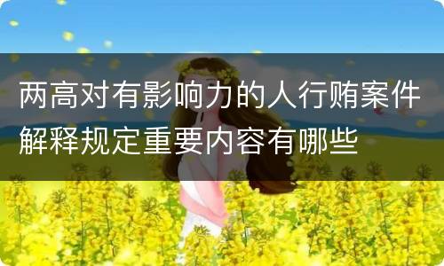 两高对有影响力的人行贿案件解释规定重要内容有哪些