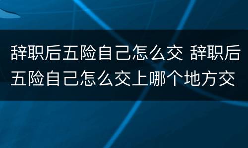辞职后五险自己怎么交 辞职后五险自己怎么交上哪个地方交