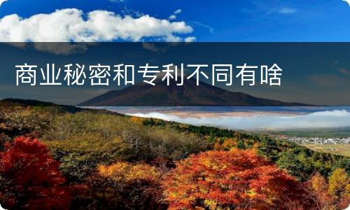 商业秘密和专利不同有啥