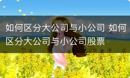 如何区分大公司与小公司 如何区分大公司与小公司股票