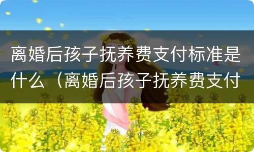 离婚后孩子抚养费支付标准是什么（离婚后孩子抚养费支付标准是什么意思）
