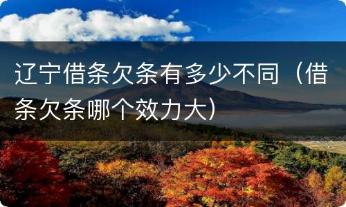 辽宁借条欠条有多少不同（借条欠条哪个效力大）