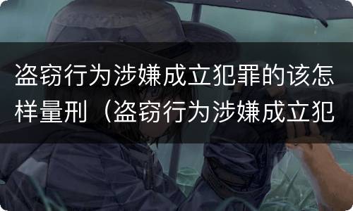 盗窃行为涉嫌成立犯罪的该怎样量刑（盗窃行为涉嫌成立犯罪的该怎样量刑呢）