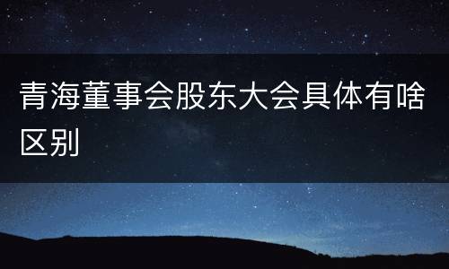 青海董事会股东大会具体有啥区别