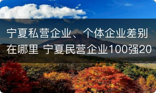 宁夏私营企业、个体企业差别在哪里 宁夏民营企业100强2019