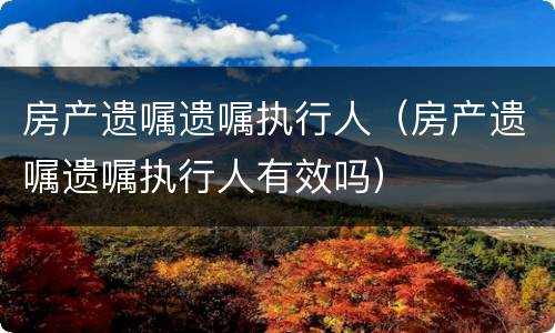 房产遗嘱遗嘱执行人（房产遗嘱遗嘱执行人有效吗）